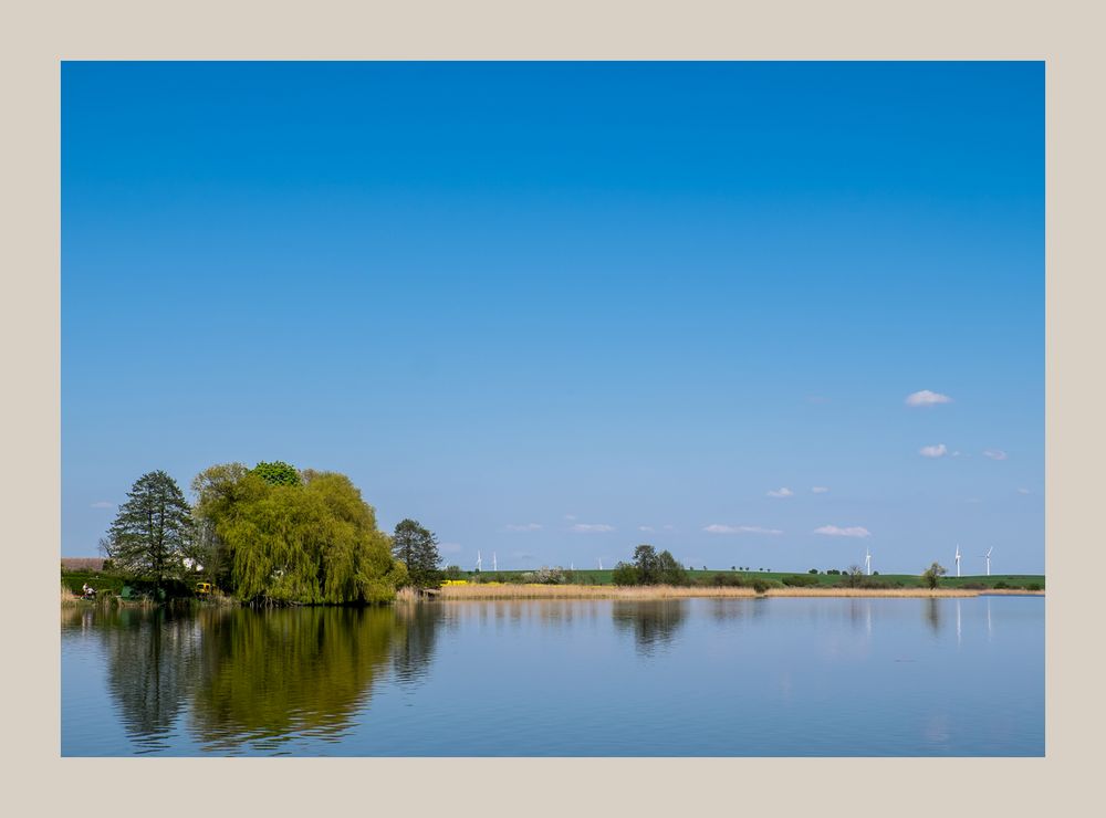 Bäume am See