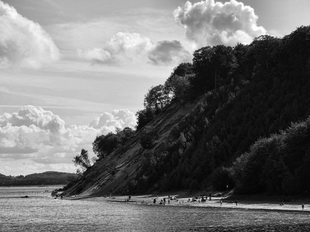 bäume am strand ..