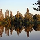 Bäume am Teich