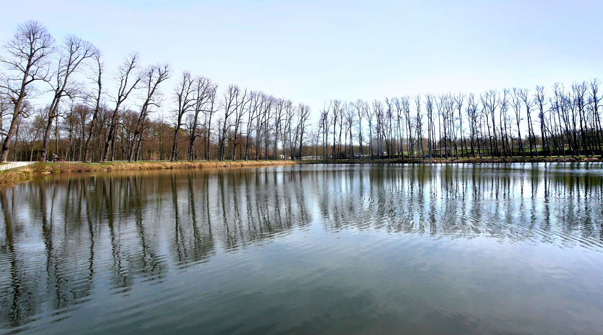 Bäume am Wasser