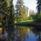 Bäume am Weiher Schloßpark Rauischholzhausen