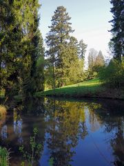 Bäume am Weiher Schloßpark Rauischholzhausen