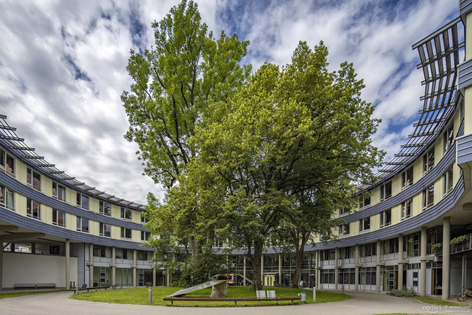 Bäume an der Hessing Klinik