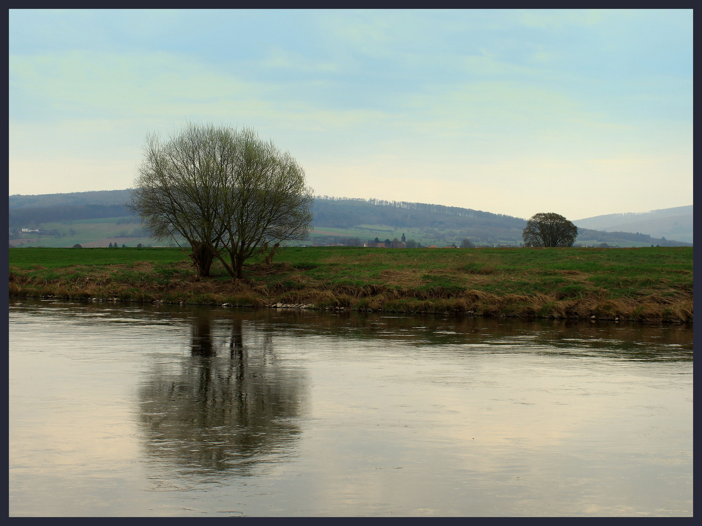 - Bäume an der Weser...