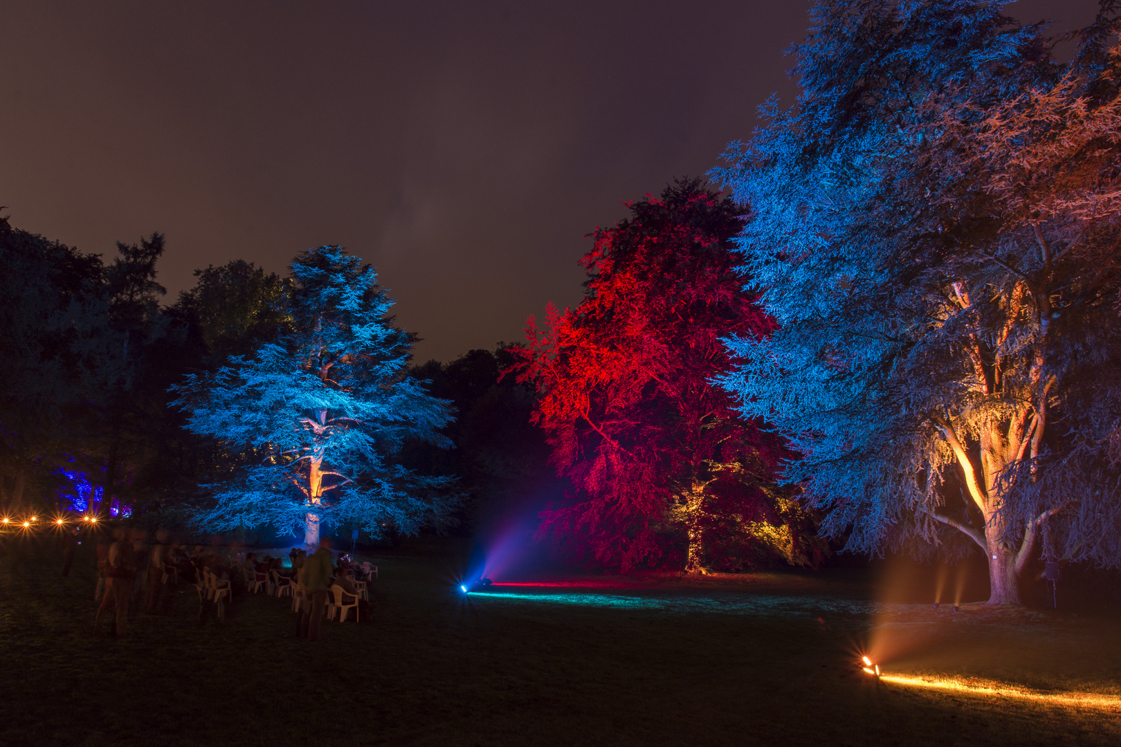 Bäume bei Nacht im Schloss Dyck