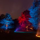 Bäume bei Nacht im Schloss Dyck