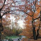 Bäume im Herbst