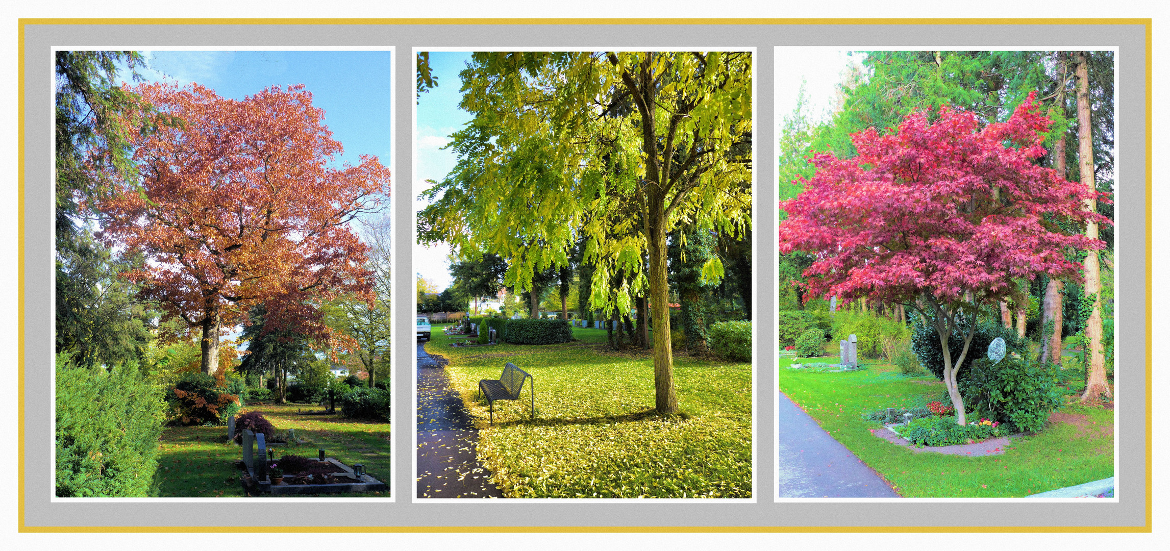 Bäume im Herbst