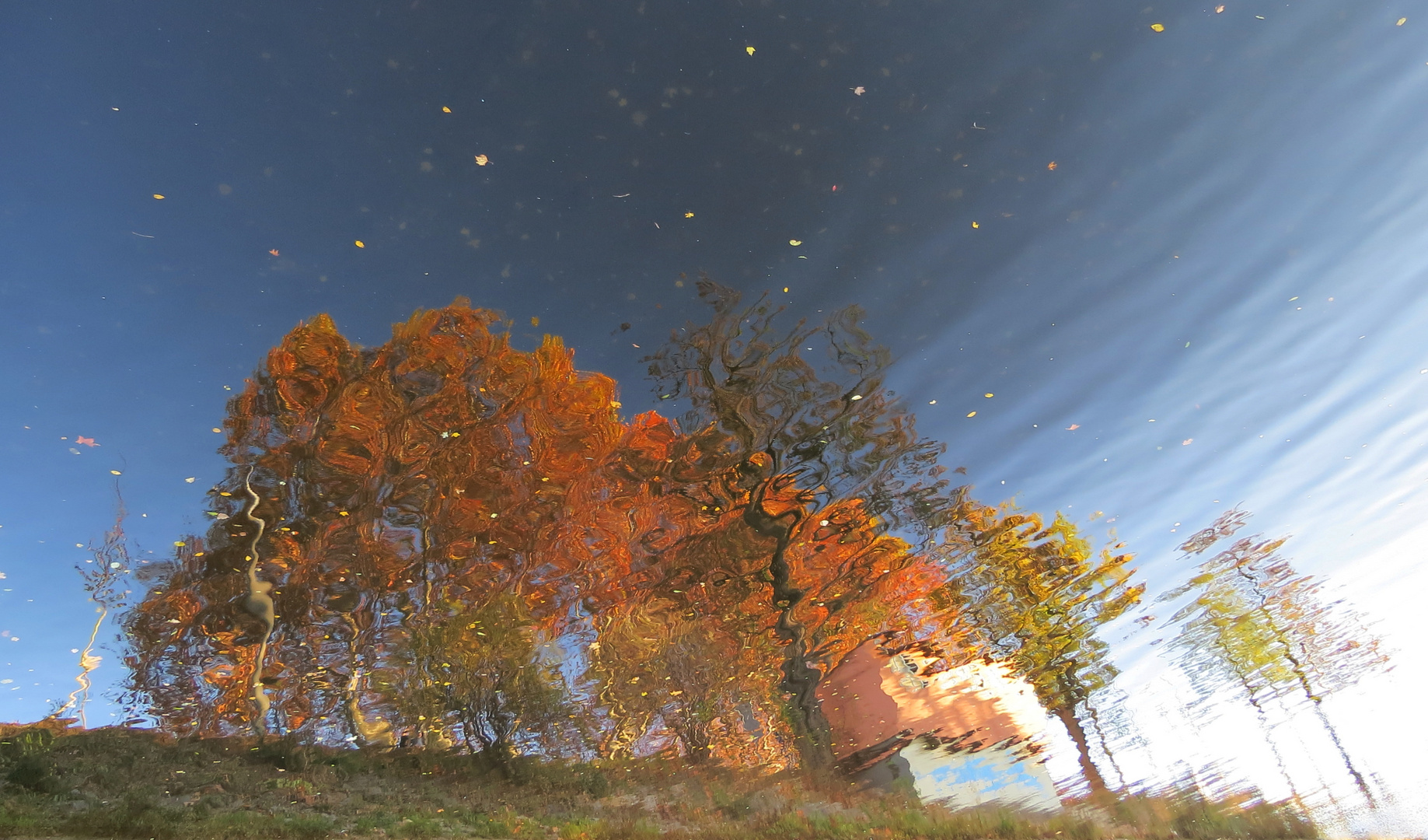 Bäume im Herbstkleid, Spiegelung im Wasser