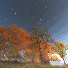 Bäume im Herbstkleid, Spiegelung im Wasser