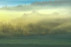 "Bäume im Nebel"