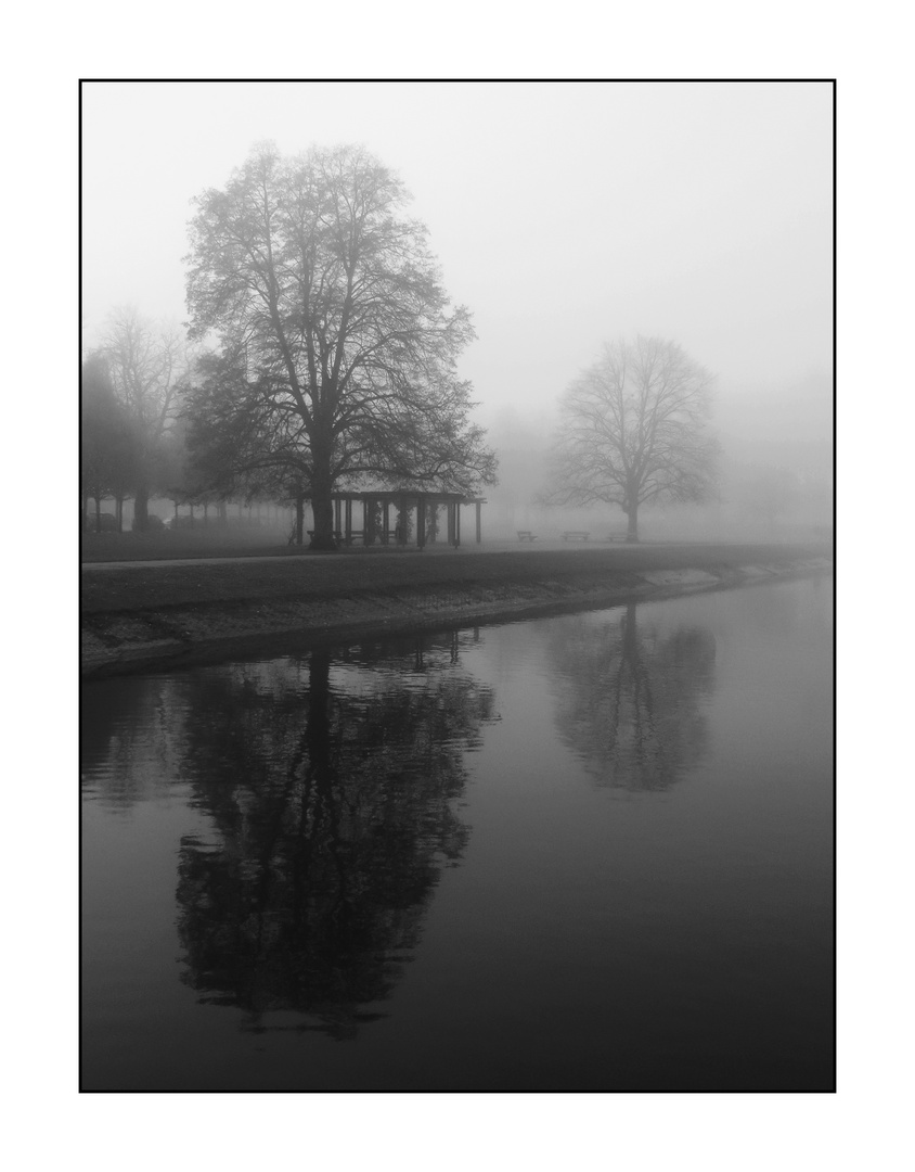 Bäume im Nebel