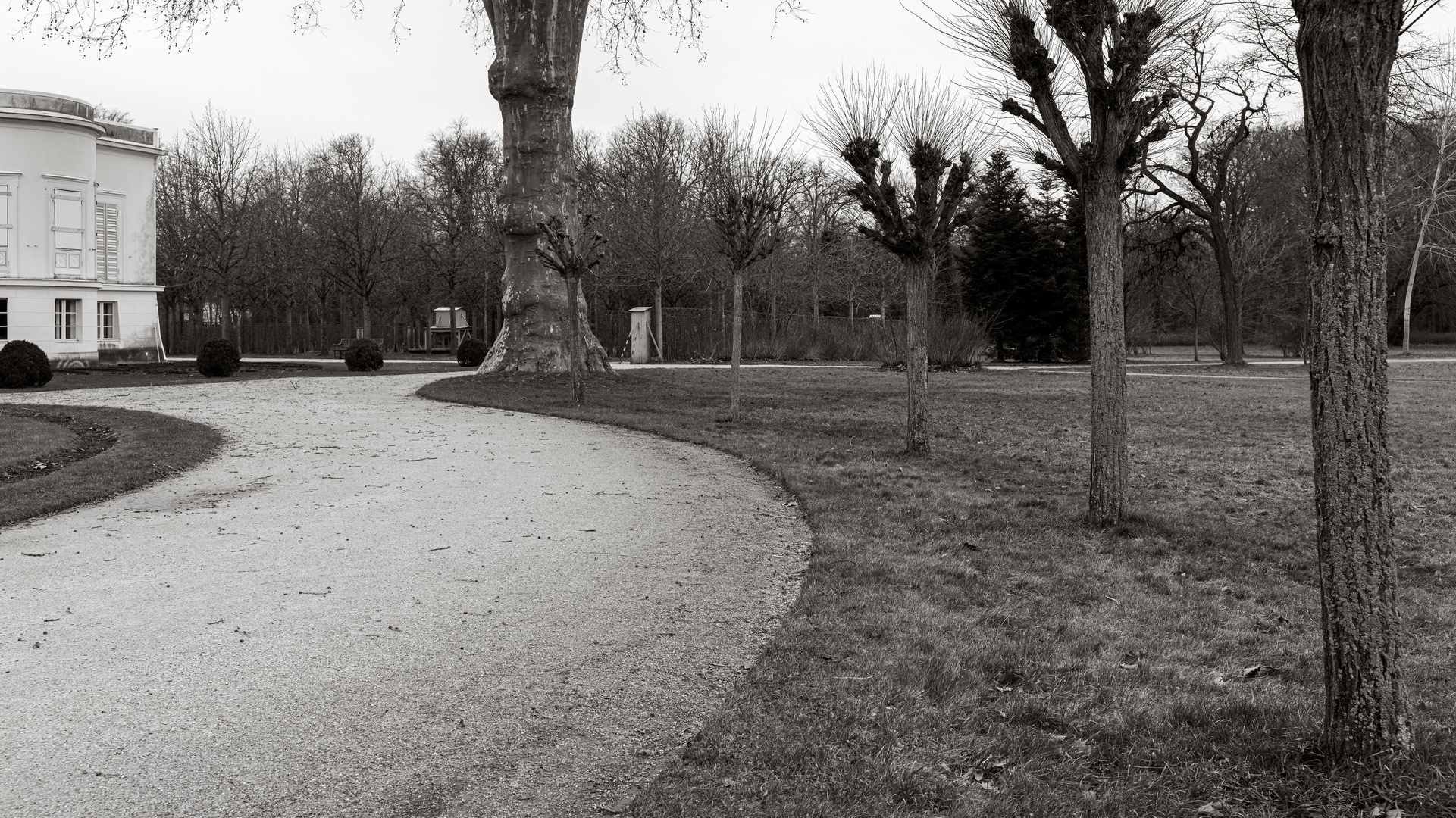 Bäume im Park Sanssouci