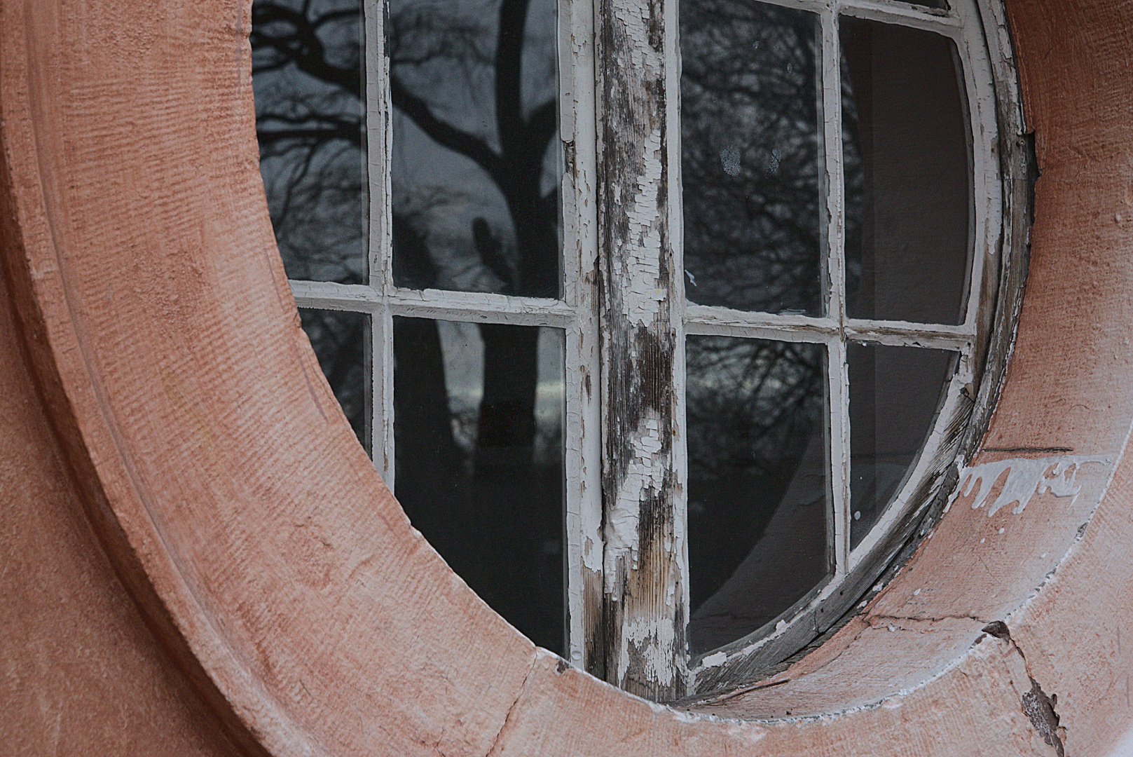 Bäume im runden Fenster