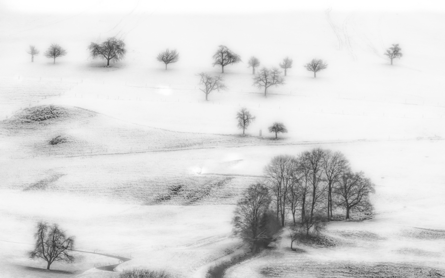 Bäume im Schnee