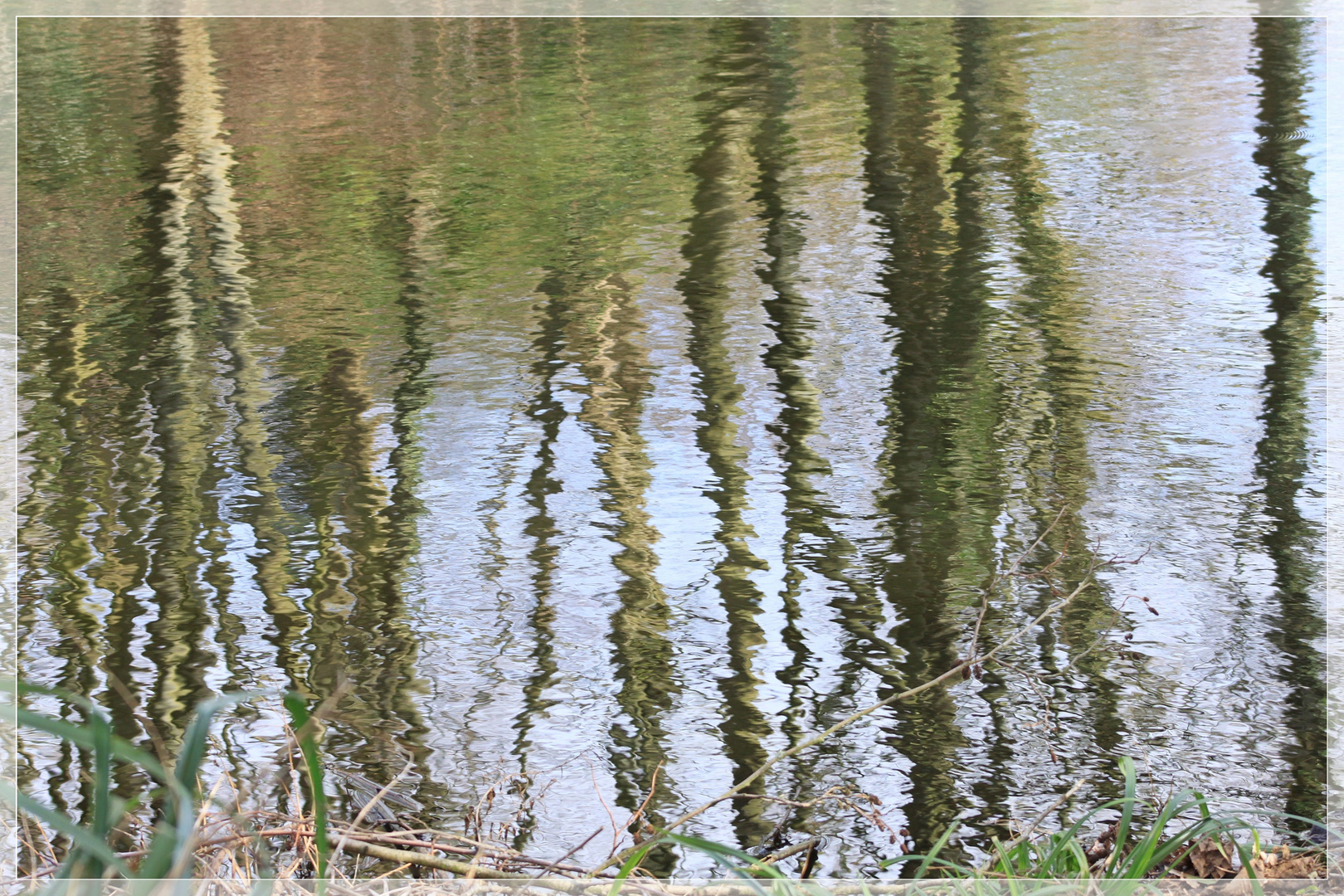 Bäume im Teich