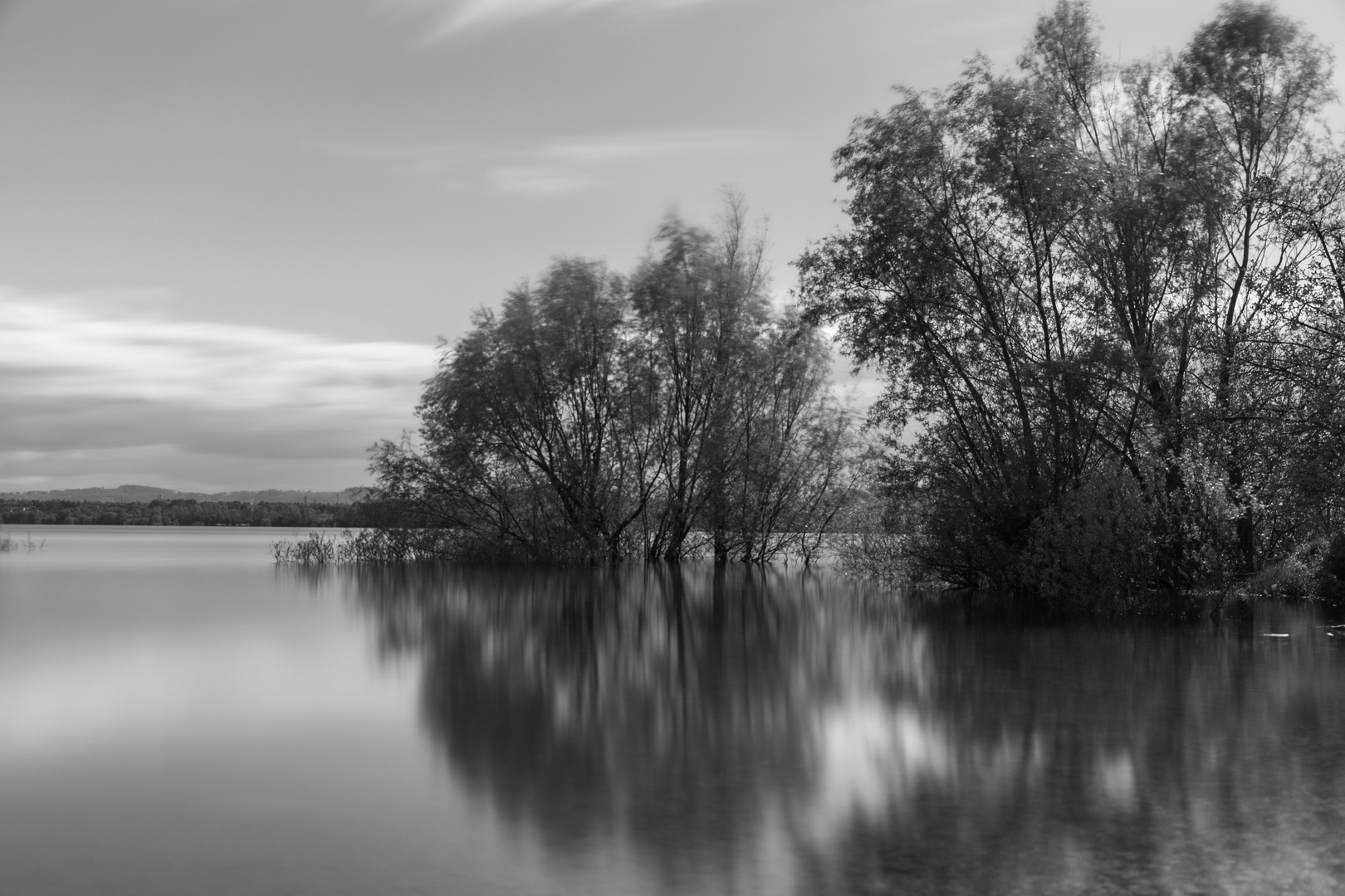 Bäume im Wasser