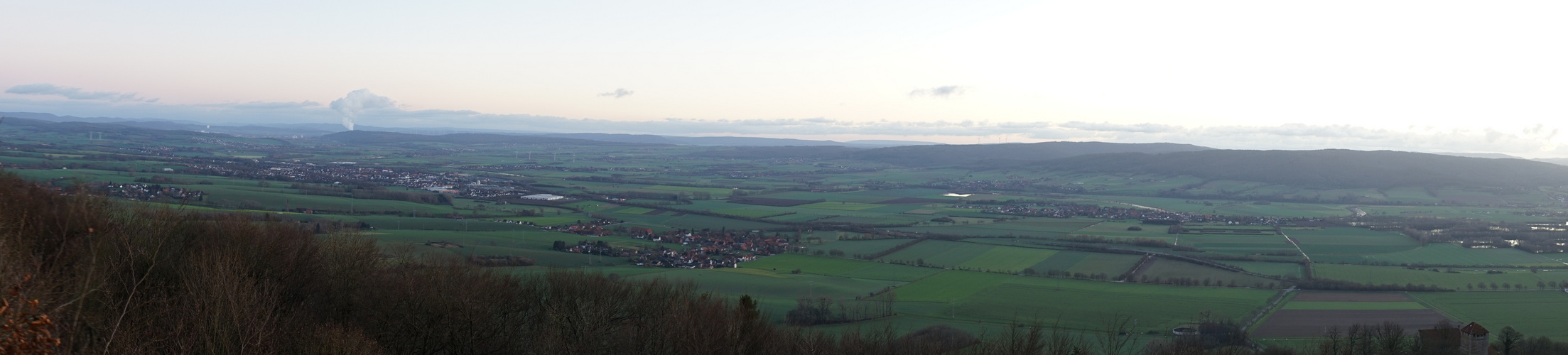 Bäume im Winter mit Sonnenuntergang