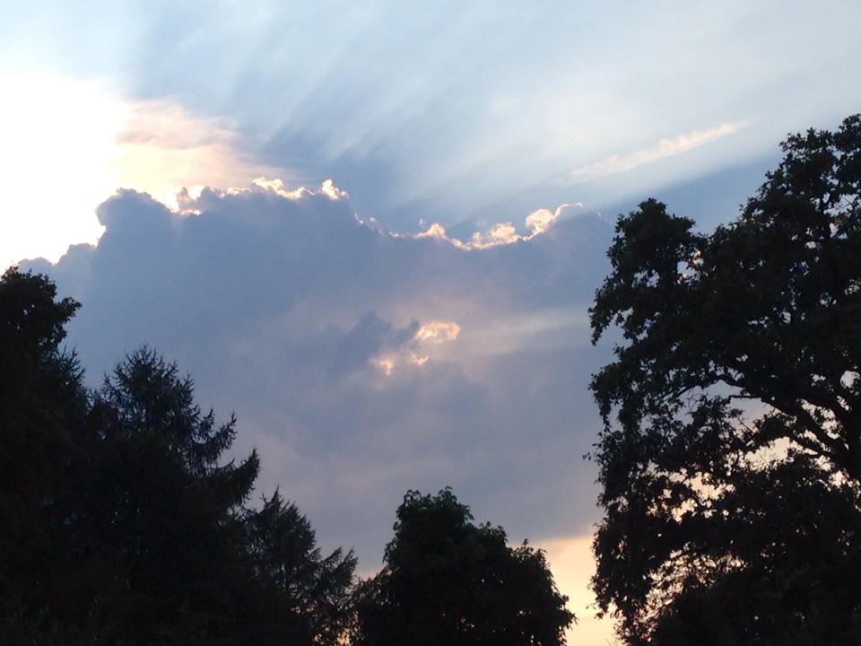 Bäume im Wolkenzauber