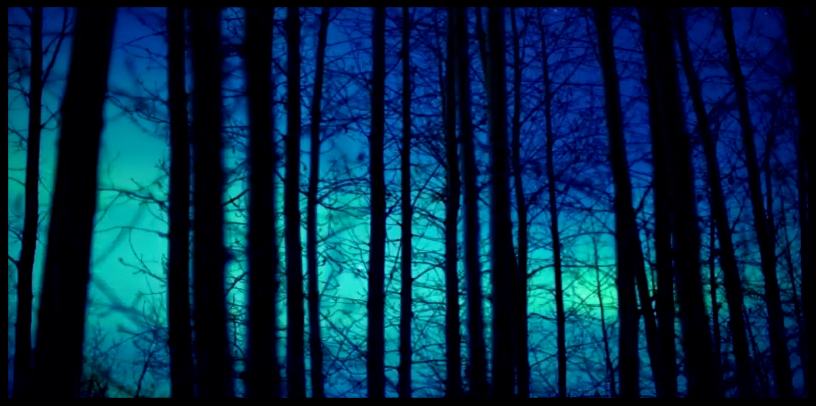 Bäume in Blau