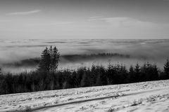 bäume in den wolken-8341