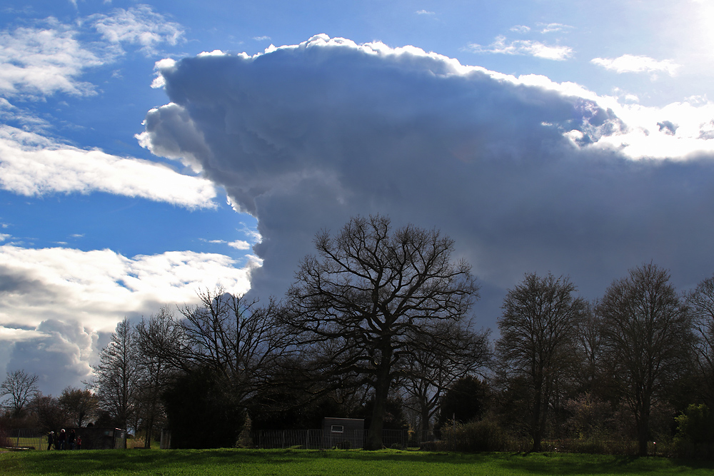 Bäume mit Gewitterwolke