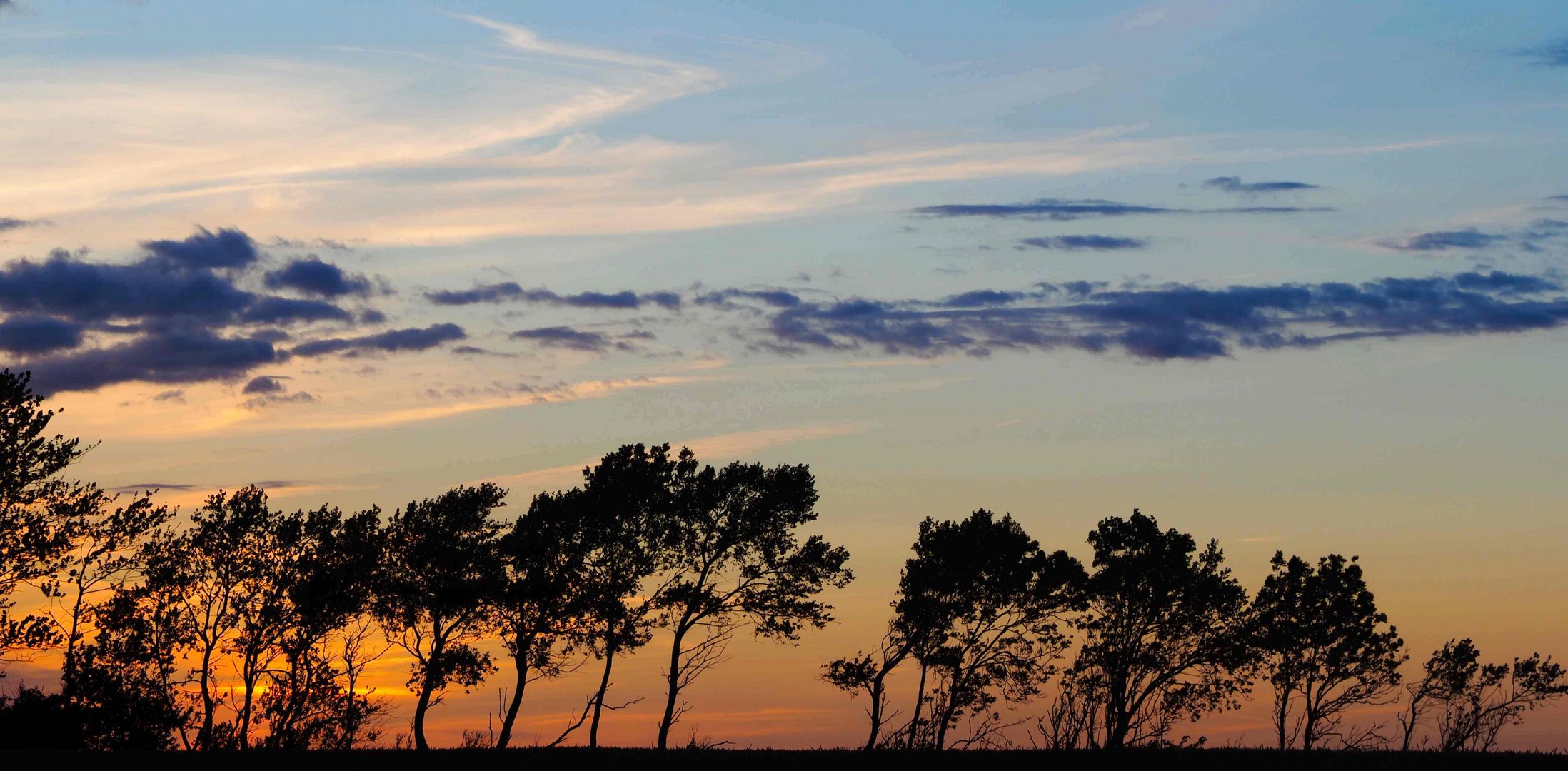 Bäume mit Wolken in der Abenddämmerung an der Ostsee	