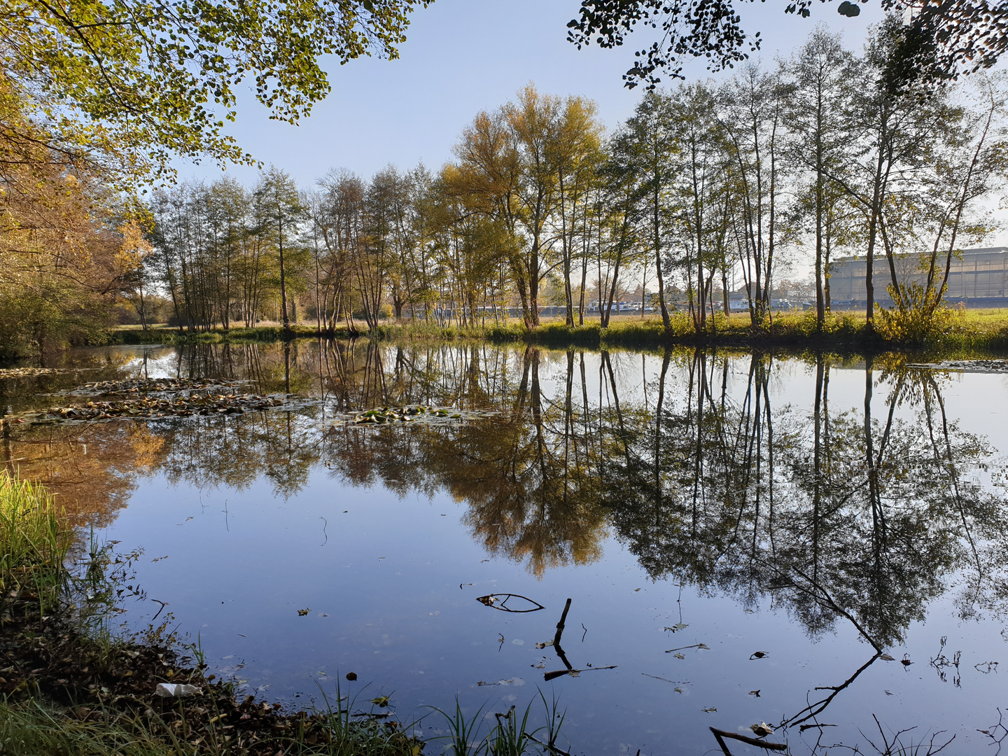 Bäume oben und unten 