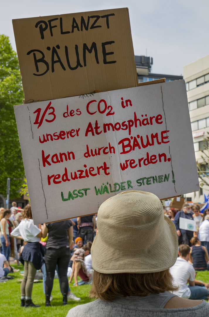 Bäume Pflanzen statt Wälder roden