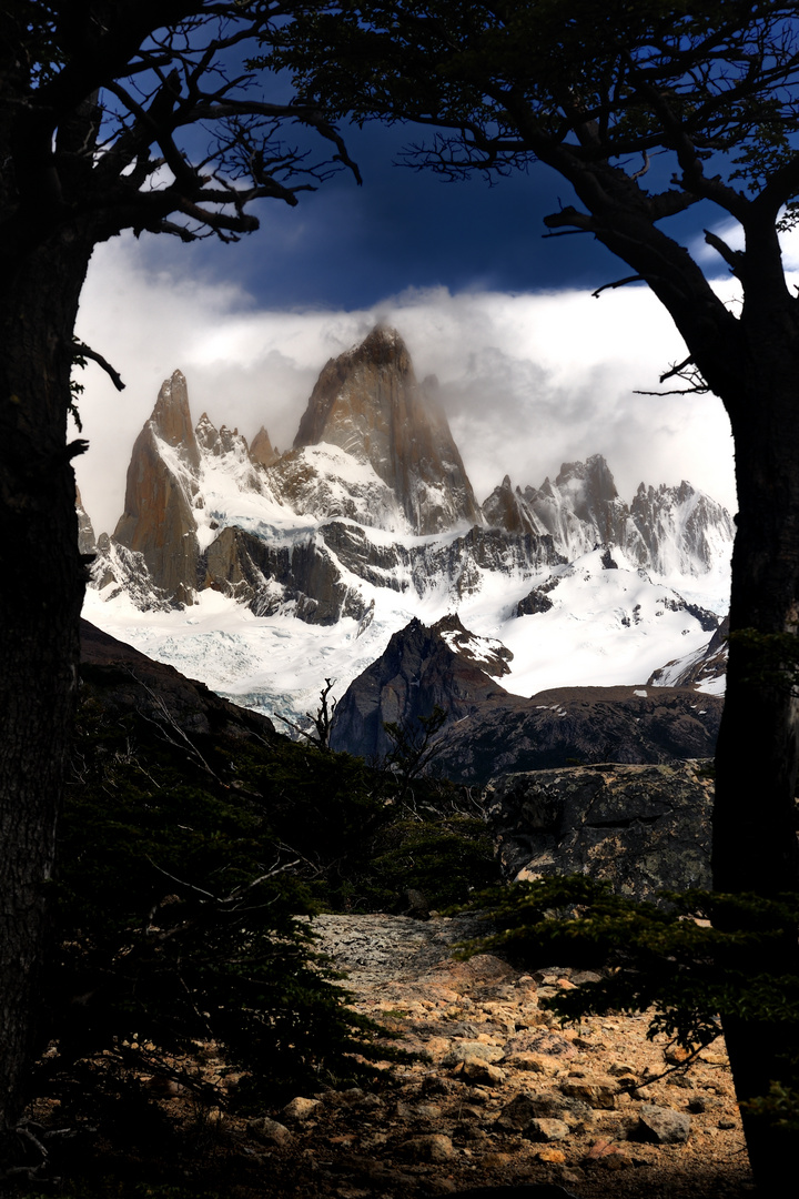 Bäume schützen Fitz Roy vor... Sensordreck...