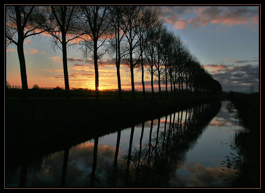 Bäume spiegeln sich am Abend ...