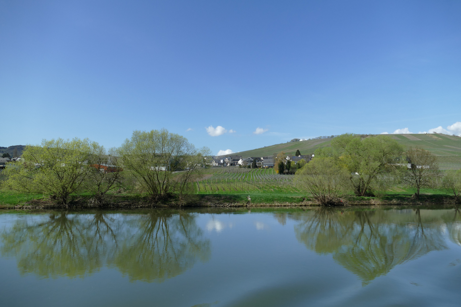 Bäume spiegeln sich im Fluss