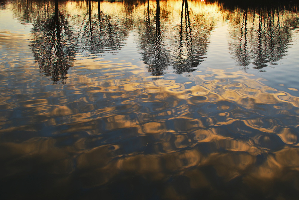 Bäume spiegeln sich im Wasser