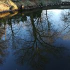 Bäume spiegeln sich im Wasser beim Gut Sierhagen