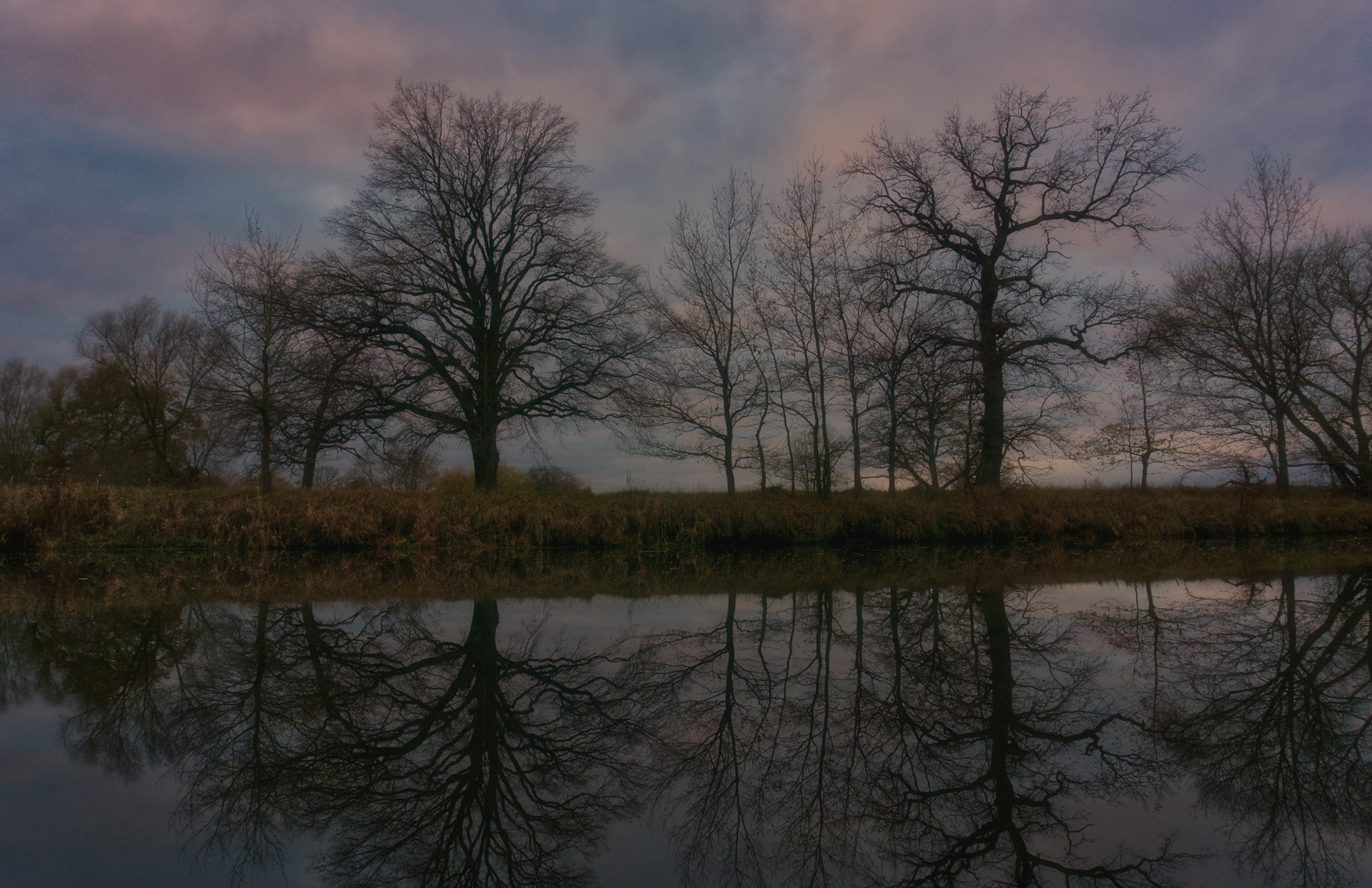 Bäume spiegeln sich im Wasser