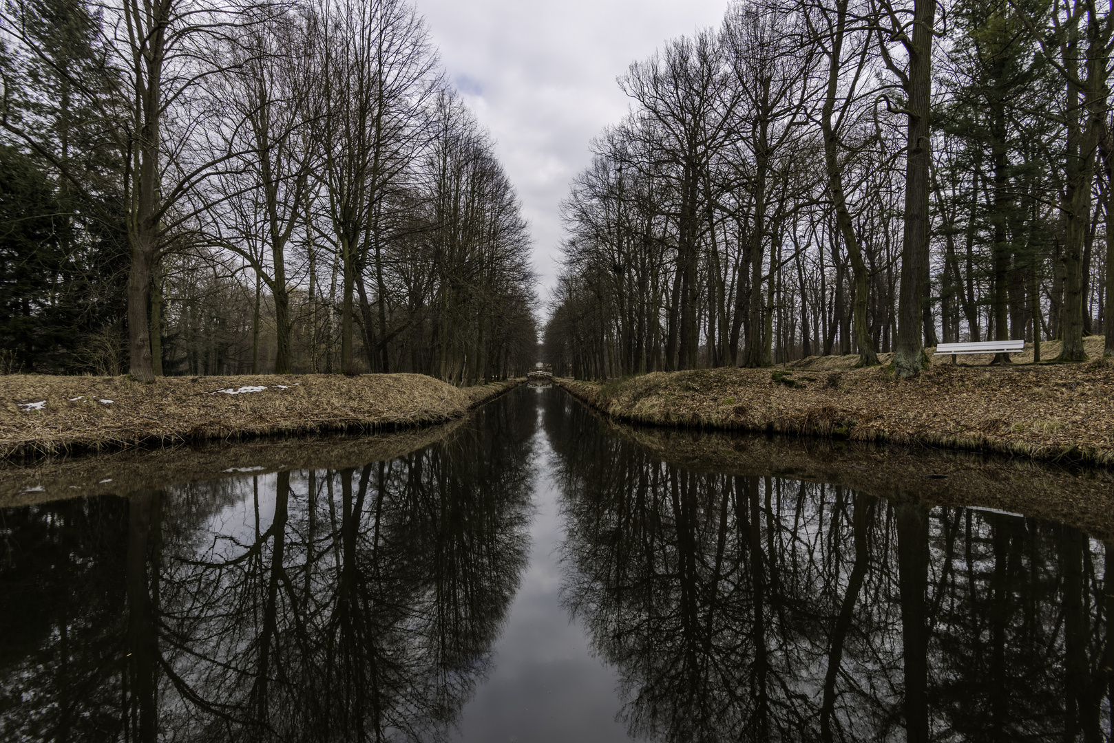 ***     bäume und ...........        ***