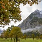 Bäume und Berge