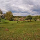 Bäume und Blüten und Hügel