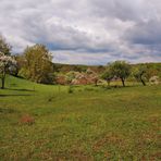 Bäume und Blüten und Hügel