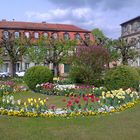 Bäume und Blumen vor dem neuen Schloss in Bayreuth am 02.05.2015