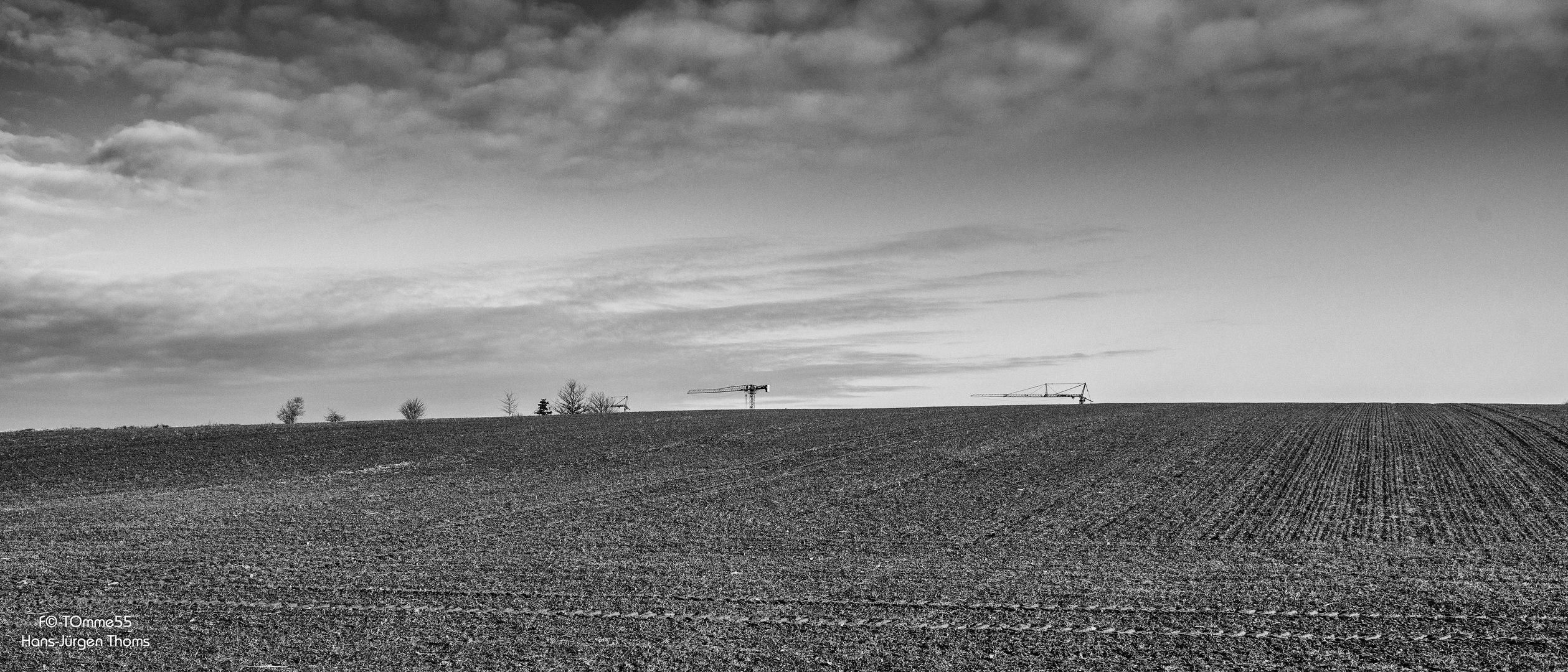 Bäume und Kräne zwischen Himmel und Acker