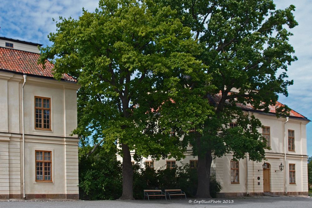 Bäume und Unterkünfte der Bediensteten Schloss Drottningholm