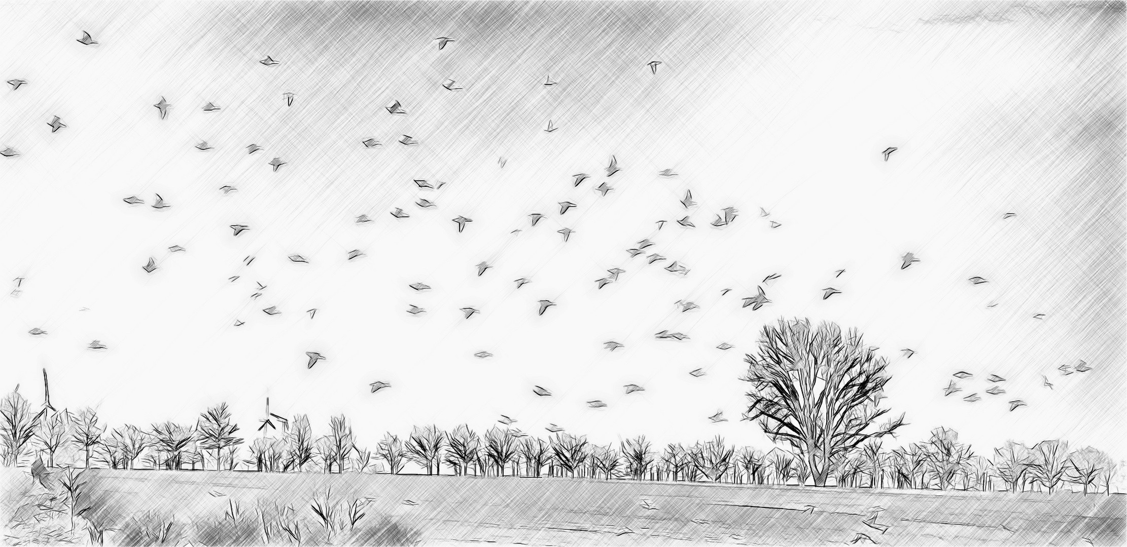 ... bäume und vögel 