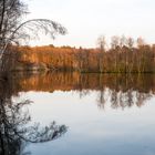 Bäume und Wasser