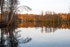 Bäume und Wasser