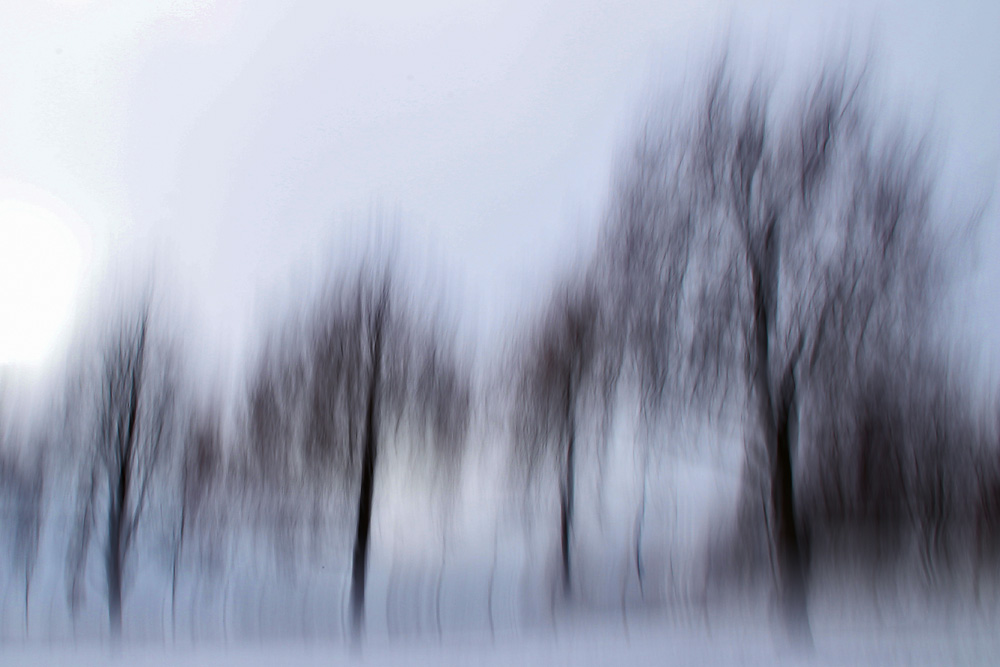 Bäume und Winterträume