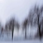 Bäume und Winterträume