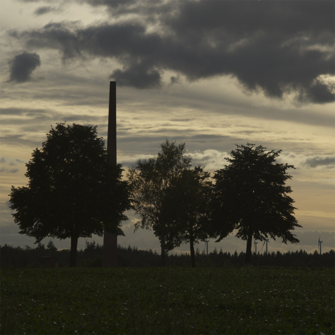 Bäume vor schornstein