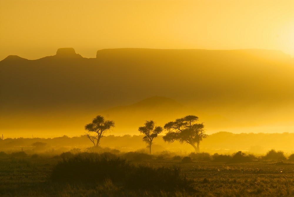 bäume vor tafelbergen [namibia]