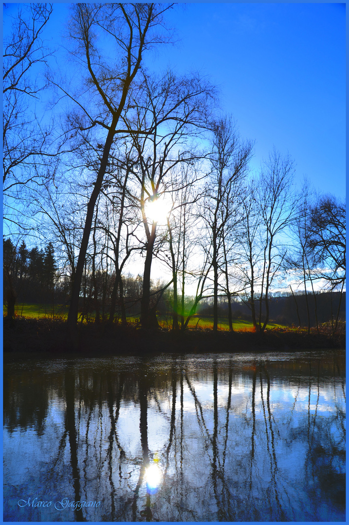 Bäume - Wasser